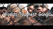 Most Dangerous Gangs In America, "Worlds Toughest Gangs" | Prison Documentaries