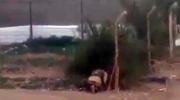 Soldier Blown To Pieces Trying To Diffuse A Land Mine