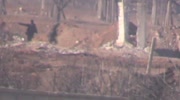 Sniper kills NDF soldier near Damascus