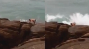 Huge Wave Sends Cocky Guy Into A World Of Pain