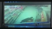 Chinese fight in a liquor store