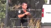 Cops. Lucky and not at all. Compilation