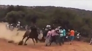 Spectator Is Crushed To Death By Racing Horse