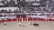 Guy Tries To Backflip Over A Bull And Gets It Wrong