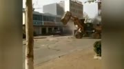 Bulldozers fight in the Street