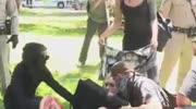 Violent clashes at Sacramento far-right rally see 5 people stabbed
