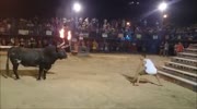 Bull Fighter Loses This Challenge