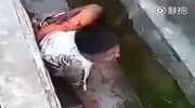 Painfull bike stunt fail