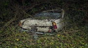 Cars left to rot in a forest