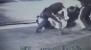 Cops beat up a loudmouth