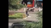 Woman Being Dragged Across Street by Her Hair as Officer Just Watches