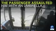 Passenger Assaults Bus Driver And Causes Huge Crash