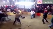 Cockfight turns into brawl of rooster`s owners