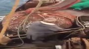 Russian Fishing Boat Catches a Big Surprise