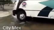 Bus driver of the year (Mexican version)