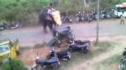 Elephant rampage