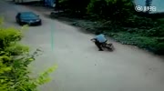 Suicidal chinese rider
