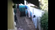 Thieve chooses a wrong yard