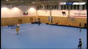 Roof falling during floorball game