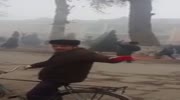 Old man on a bicycle hit by a tree.