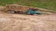 how to turn the truck with wood