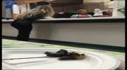 Blonde Freaks Out Over Green Peppers In Her Kebab Sandwich