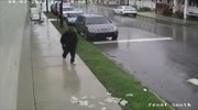 Bumbling get away