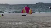 Hard landing - skydiver dies on spot