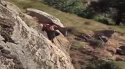 Man tries to hold on but anyway falls from a cliff