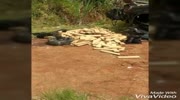 Trafficker lost all his stuff and was arrested after crash