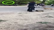 Guy kicks his girlfriend to the ground.