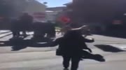 Woman is kicked by horse