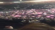 HUGE EXPLOSION AT THE CONCERT IN MANCHESTER
