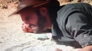 Let the insect bite me - i wanna suffer