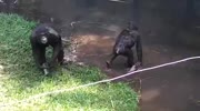 Chango throws a clay ball to tourists