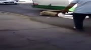 Thief gets trapped under the wheels of a bus