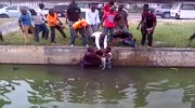 Nigerians fight in a gutter