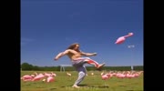 Crazy flamingo kicker ..