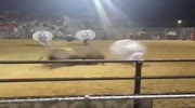 Bull flips the human ball in rodeo