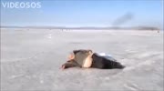 Drunken Russian "fishing"