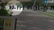 Venus Williams collision was caught on camera.