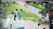 Tree crushes people