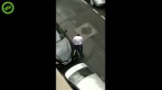 A BMW driver, a fat guy and a RED van.