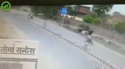 Bull hates motordriver.