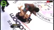 Best woman MMA KO's.