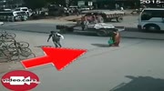 Woman torn to pieces