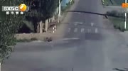 Man is dragged by moped after having stolen his transport
