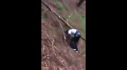 Painful rope swing