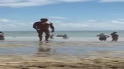 Who's the biggest guy on the beach