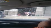"Look at this shit"
